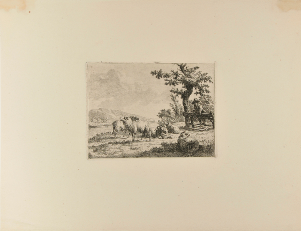 SHEEP AND RAMS WITH SHEPHERD