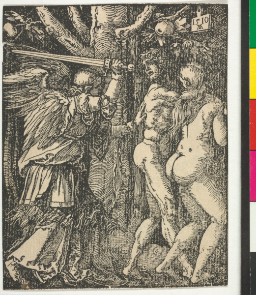 EXPULSION FROM PARADISE