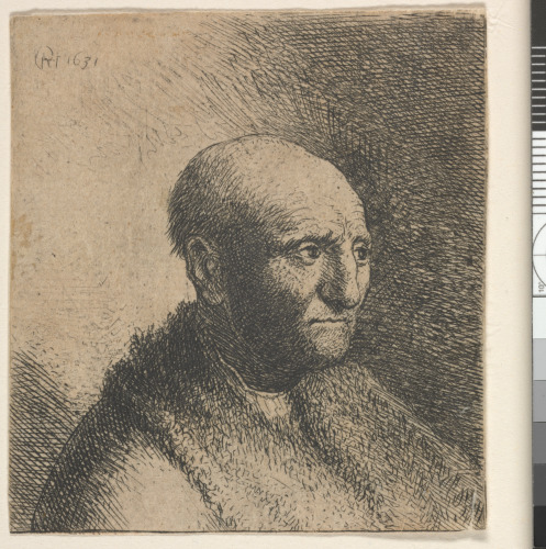 BALD MAN IN A FUR CLOAK: BUST