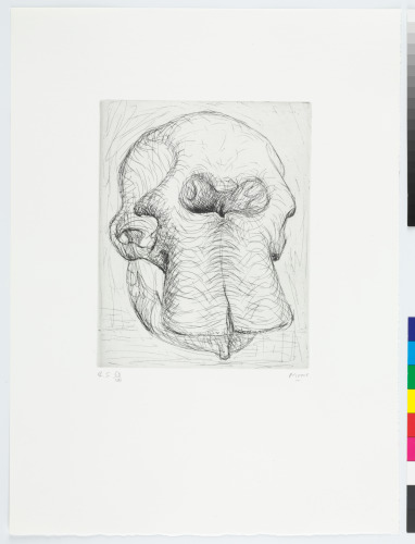 Plate I from the book “Elephant Skull”