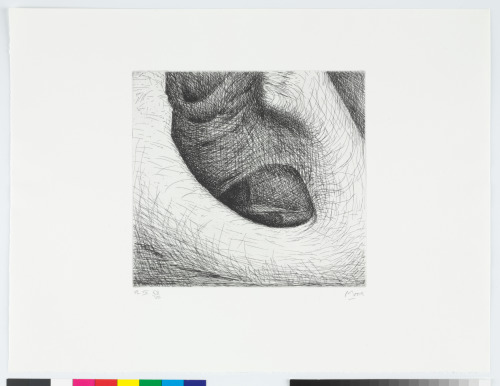 Plate IV from the book “Elephant Skull”