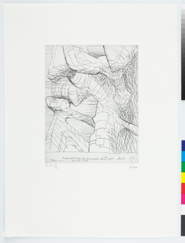 Plate V from the book “Elephant Skull”