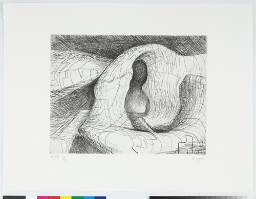 Plate VIII from the book “Elephant Skull”