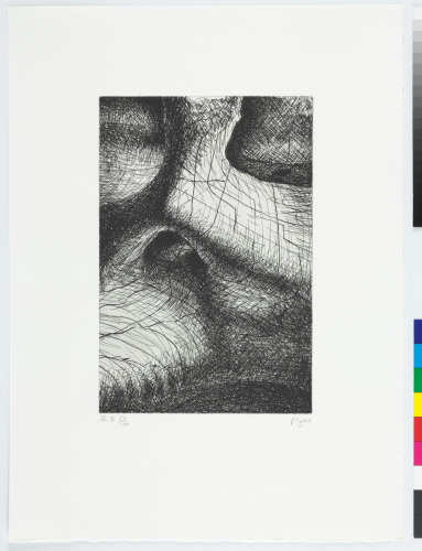 Plate X from the book “Elephant Skull”