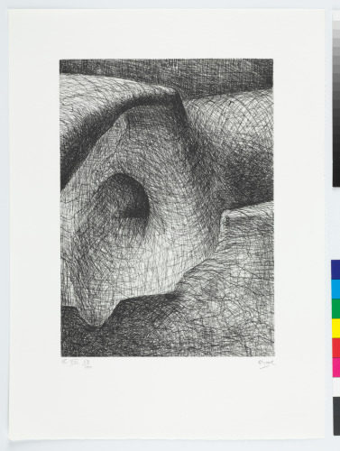 ELEPHANT SKULL, PLATE XVI