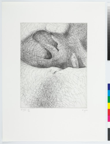 ELEPHANT SKULL, PLATE XXI