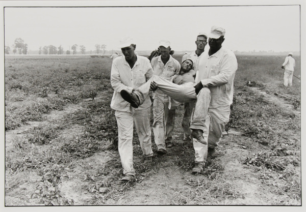 HEAT EXHAUSTION, ELLIS