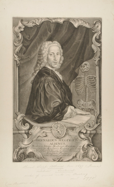 Bernhard Siegfried Albinus