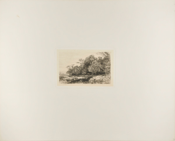 WOODLAND SCENE WITH POOL IN FOREGROUND