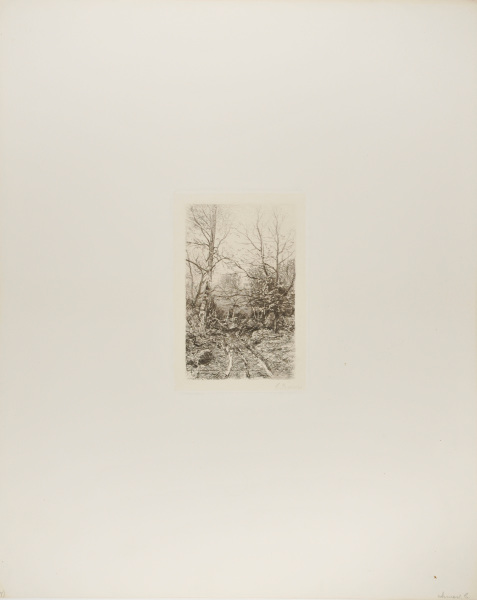 ROAD THROUGH THE WOODS