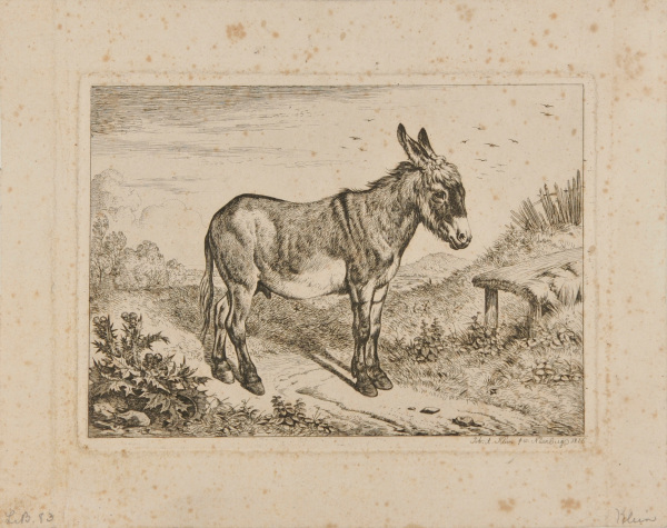 LANDSCAPE WITH DONKEY