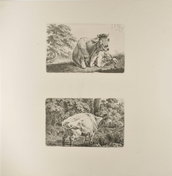 RESTING COW, SEEN FROM THE FRONT (TOP); BELLOWING COW STANDING IN THE WATER (BOTTOM)