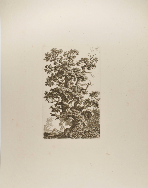 SATYR RESTING AT THE FOOT OF A GNARLED OAK