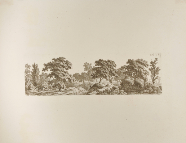 HILLY LANDSCAPE WITH TREES