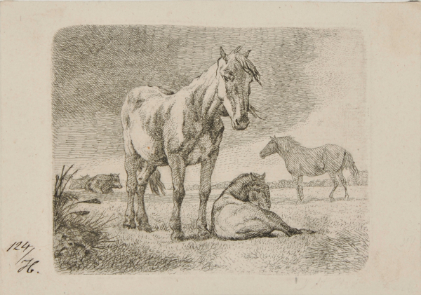 HORSES AND CATTLE IN A PASTURE, STORMY SKY ABOVE