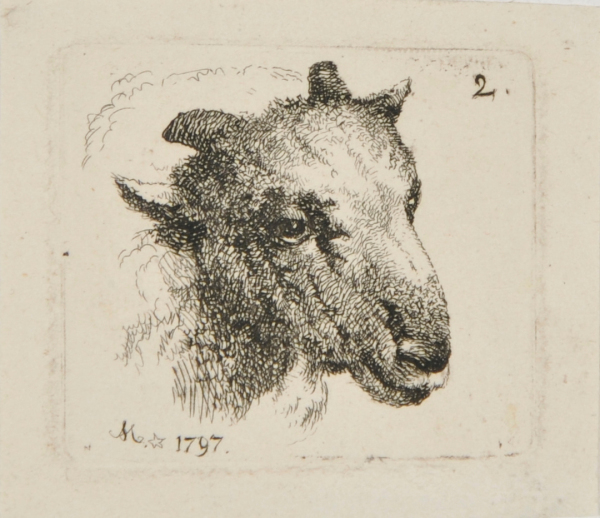 Head of a Ram