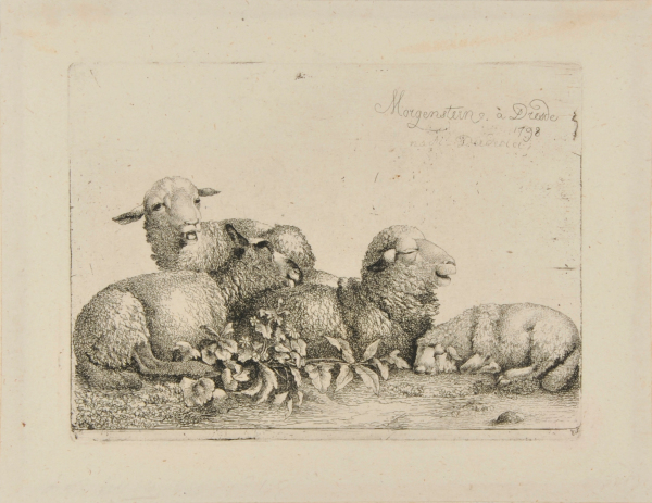 GROUP OF FOUR RESTING SHEEP