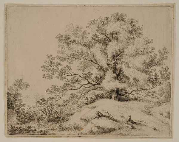 LANDSCAPE WITH SPREADING OAK