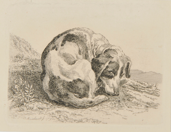 SLEEPING HUNTING DOG, TURNED TO RIGHT