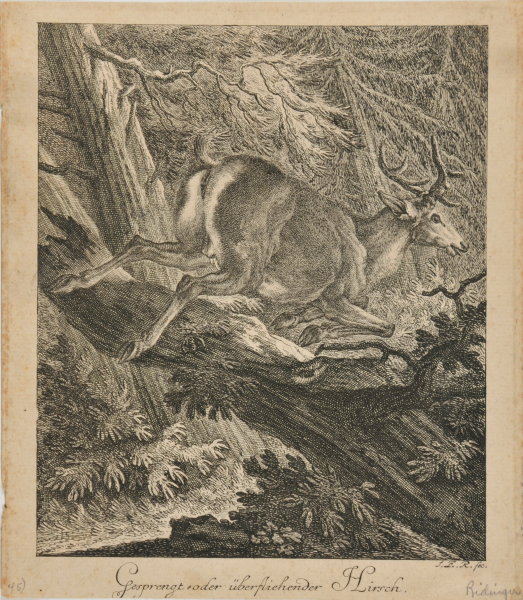 STAG LEAPING OVER A LOG