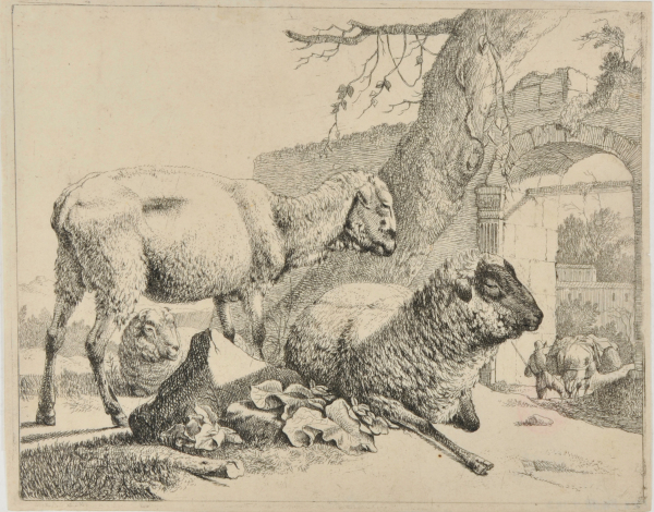 A STANDING SHEEP AND TWO LYING SHEEP NEAR ROMAN GATE AT RIGHT