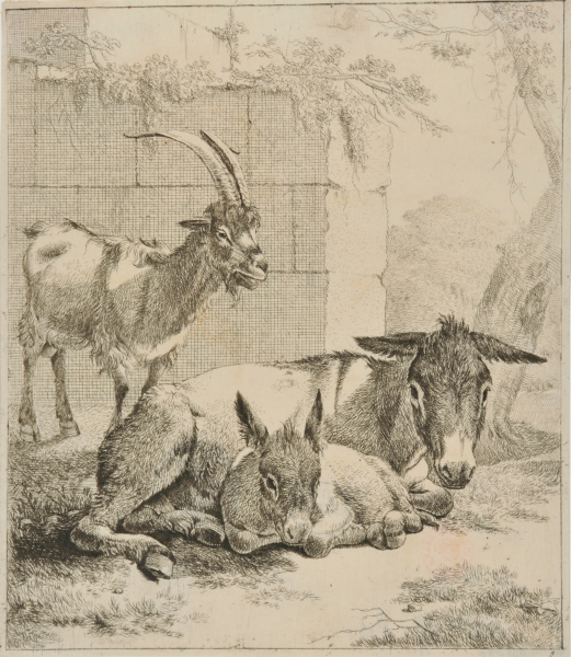 LYING DONKEY WITH YOUNG, A GOAT IN FRONT OF WALL AT LEFT