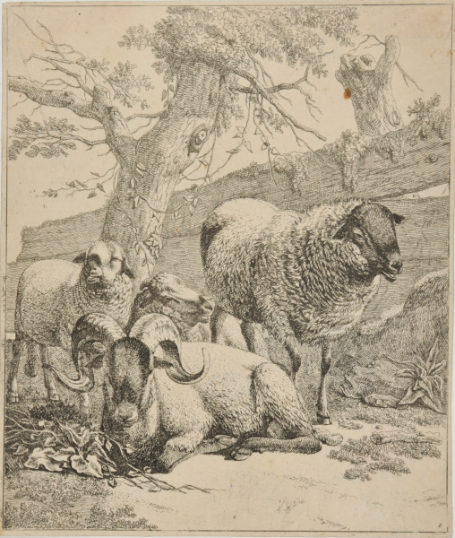 LYING RAM AT CENTER, FLANKED BY STANDING SHEEP AT LEFT AND RIGHT, IN FRONT OF WOODEN FENCE