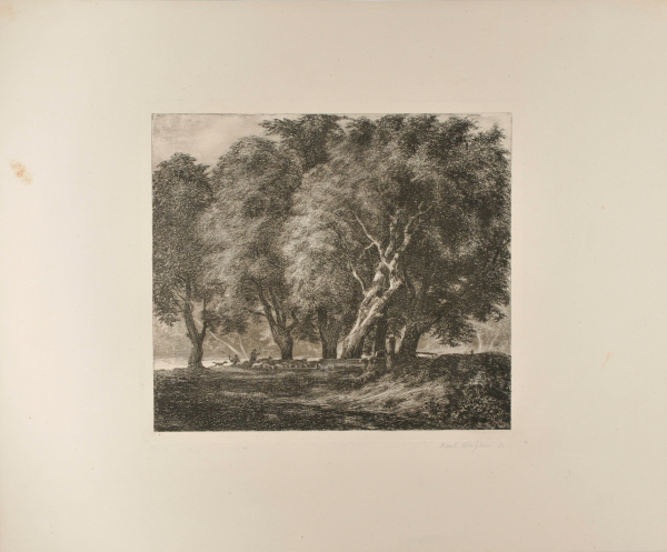 A FLOCK OF SHEEP UNDER THE GREAT TREES