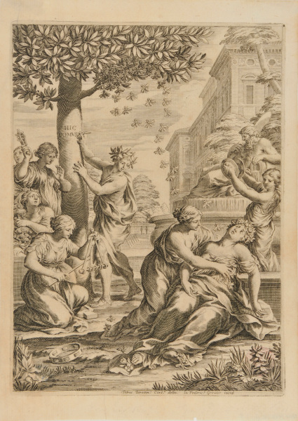 FLORA STUNG BY A BEE