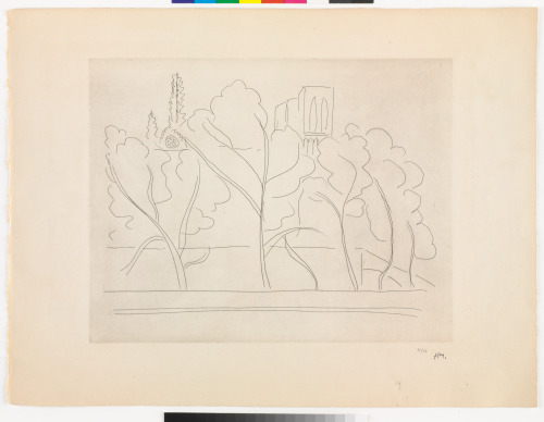 NOTRE DAME THROUGH THE TREES