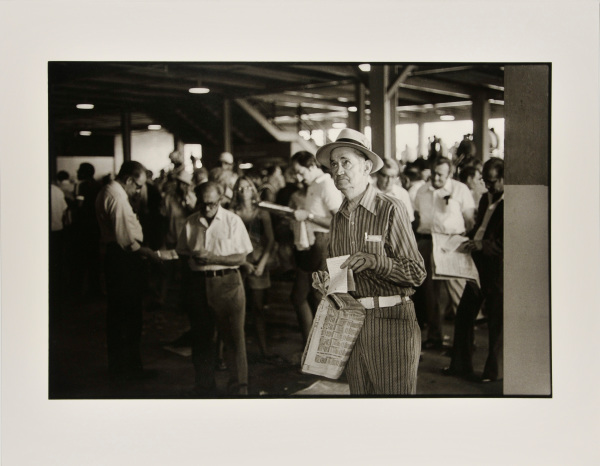 OLD GAMBLER, TIMONIUM RACE TRACK.