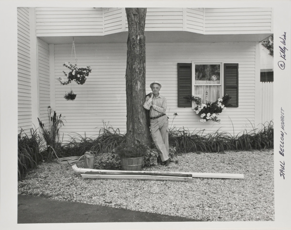 Saul Bellow, Novelist