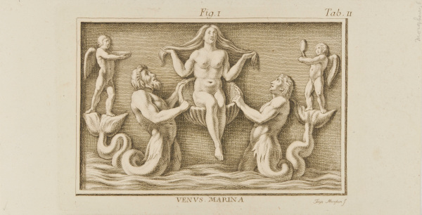 VENUS MARINA