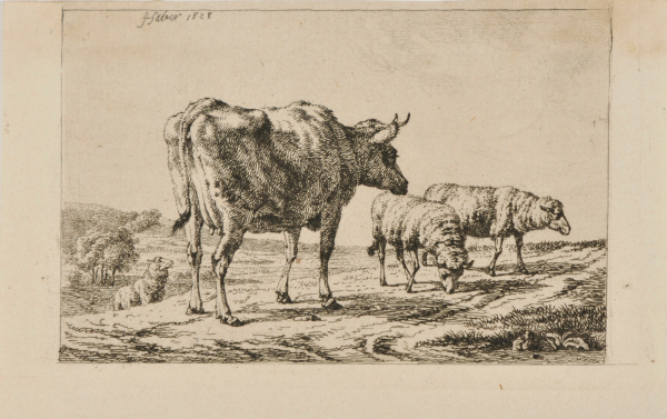 A COW AND TWO SHEEP