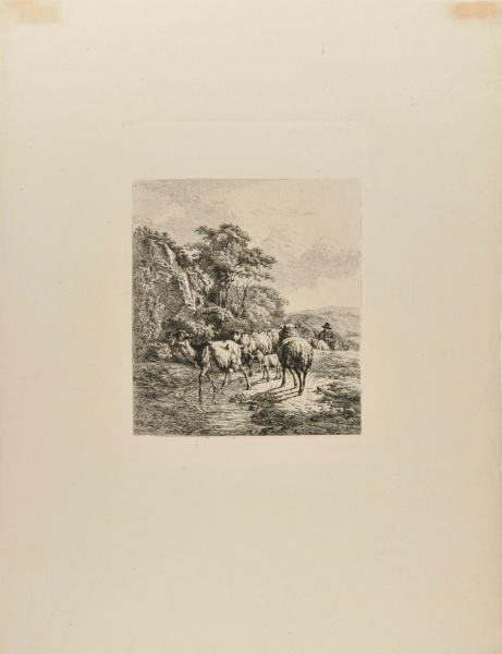 A HERD OF GOATS AND SHEEP ENTERING A STREAM