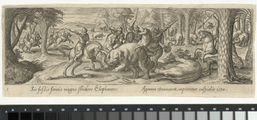 THE ELEPHANT HUNT
