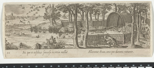 THE DUCK HUNT WITH NET TRAP