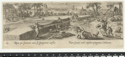 The Bird Hunt in a Wheat Field with a Net