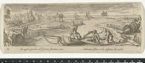 EMPTYING THE SALMON NETS