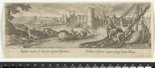 FISHING FOR TURBOT AND SEAL HUNT