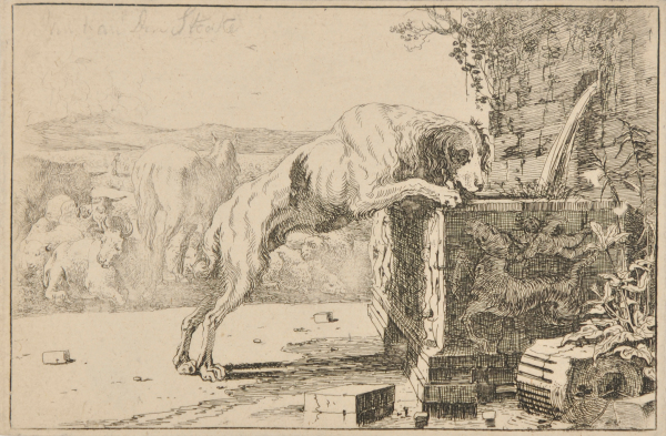 THE DOG AT THE FOUNTAIN