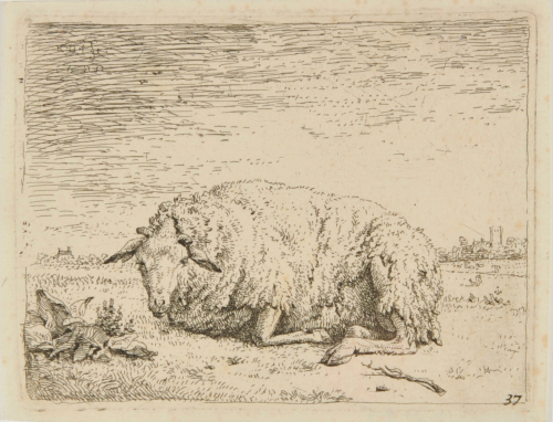 THE SHEEP LYING DOWN