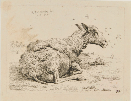 The Sheep and the Flies