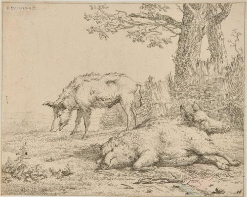 THREE PIGS NEAR THE FENCE