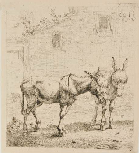 THE TWO DONKEYS