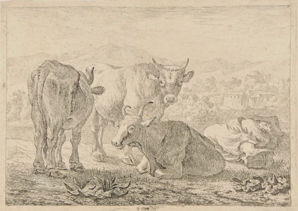 THE OXEN