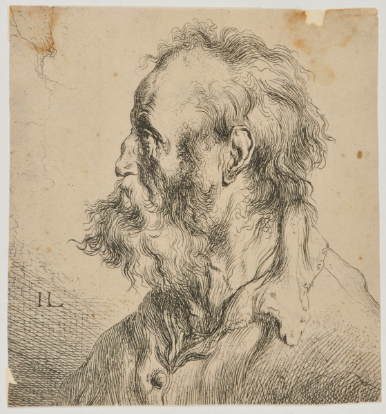 HEAD OF AN OLD MAN, WITH LONG HAIR AND BEARD, PROFILE TO LEFT