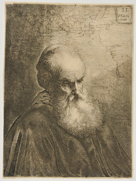 HEAD OF OLD MAN WITH A BEARD