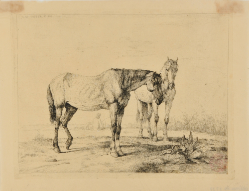 TWO HORSES, MAN FISHING IN BACKGROUND