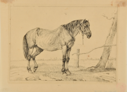 HORSE WITH HALTER STANDING BY A WOODEN BAR